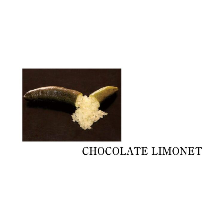 フィンガーライム チョコレートリモネット(CHOCOLATE LIMONET)の果実