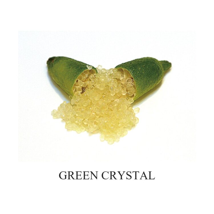 フィンガーライム グリーンクリスタル(GREEN CRYSTAL)の果実