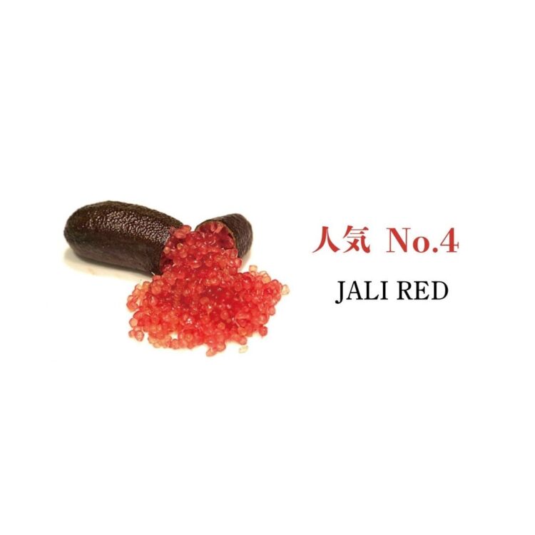 フィンガーライム ジャリレッド(JALI RED)の果実
