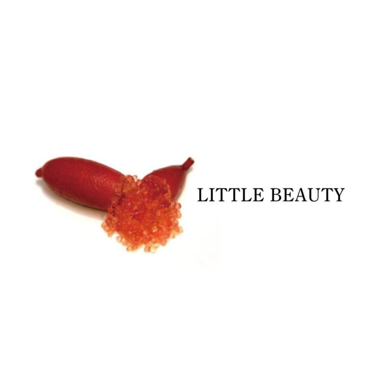 フィンガーライム リトルビューティー(LITTLE BEAUTY)の果実