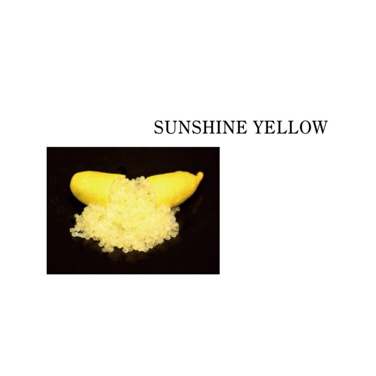 フィンガーライム サンシャインイエロー(SUNSHINE YELLOW)の果実